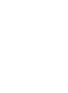 Uitsluiten Politie Te voet Plopkappen.nl: Plopkappen, plopbollen en microfoonflags met logo opdruk